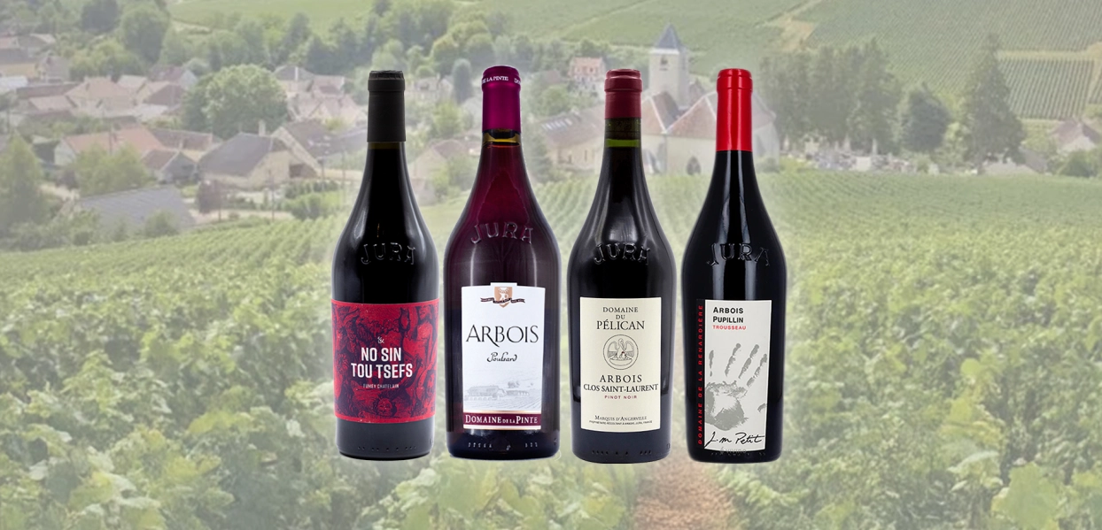 Cata Vinos Tintos Jura. 16 octubre